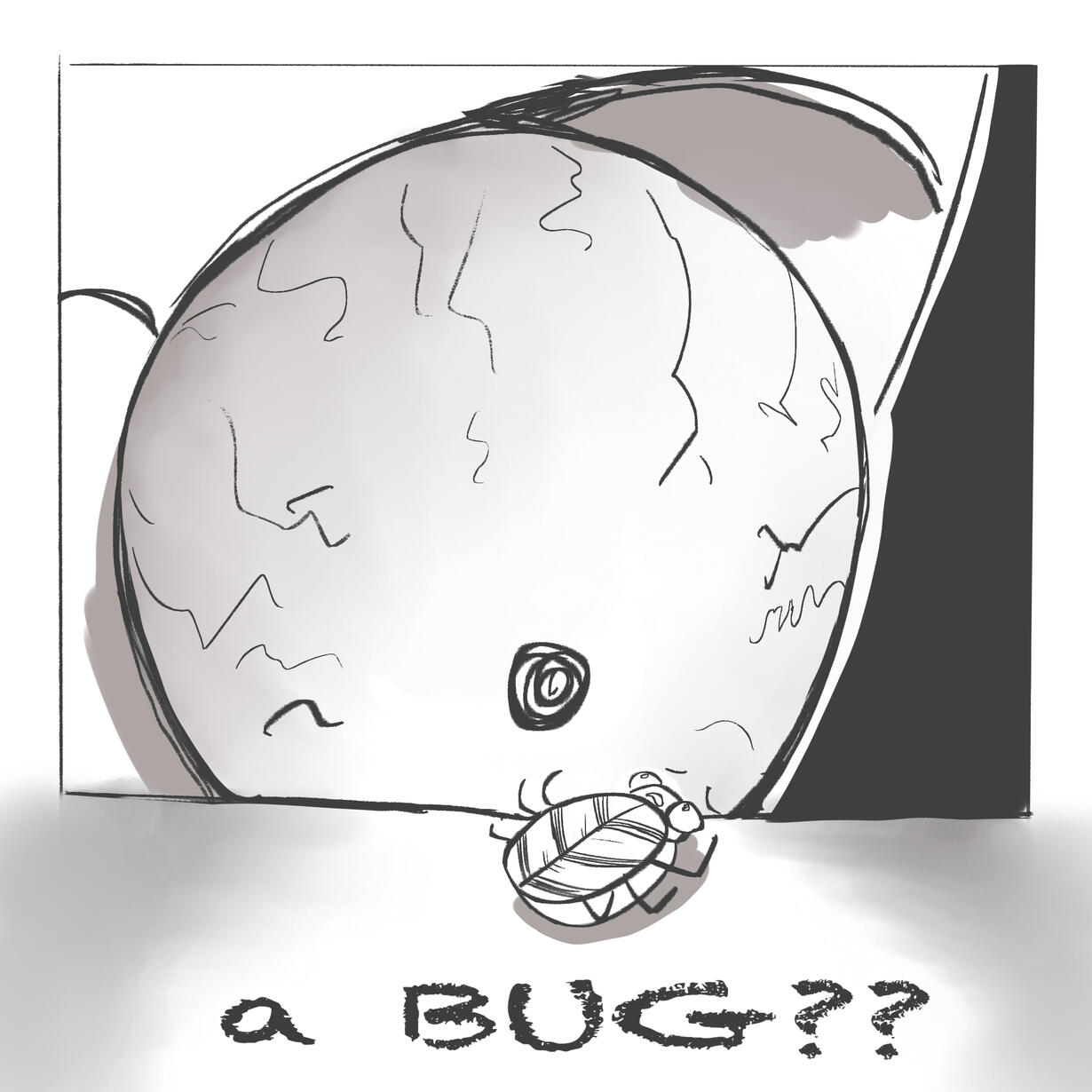 A BUG??? (2025)